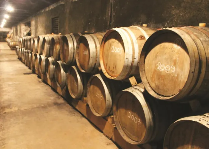 The Sunset Spot Casa vacanze *